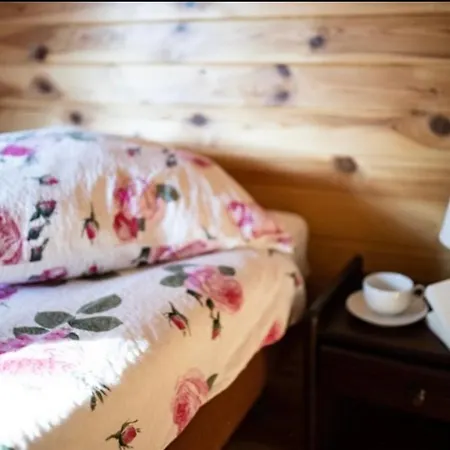 別荘 Letniskowe Karpiowka ルビャトボ