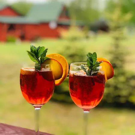 別荘 Letniskowe Karpiowka *